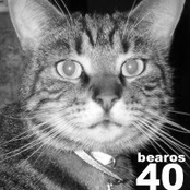 Bearos 40