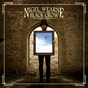 Nigel Wearne: Black Crow
