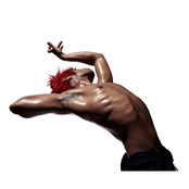 Remote Utopias: 2nd May 2020