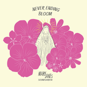 Never Ending Bloom