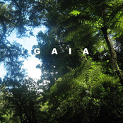 G      A      I      A