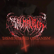 DISMEMBERED ORGANISM