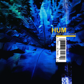 Hum: Downward Is Heavenward