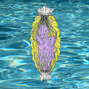 Laboratorio de Clonación