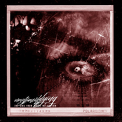 The Sins From Which We Abstain [Explicit]