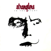 Stranglers In The Night