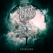 Desolation by Of Burning Empires