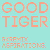 Good Tiger: Aspirations (Skremix)