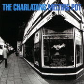 The Charlatans: Melting Pot