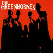 What A Fool by The Greenhornes