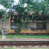 Tidalize - LP