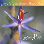 Every Girl I Know Deserves a Packet of Stars