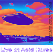 Live at Acid Horse