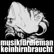 musikfürdiemankeinhirnbraucht