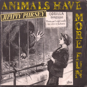 Animals Have More Fun