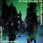 In The Sound of Hollow Bodies