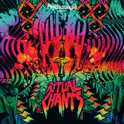 Psychemagik - Ritual Chants