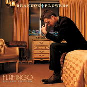 Brandon Flowers: Flamingo (deluxe edition)