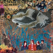 Memory by Outrageous Cherry