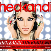 The Remix: 2011