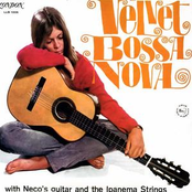 Neco's Guitar And The Ipanema Strings