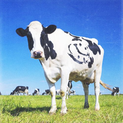 Junior Varsity: Cold Blood