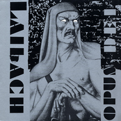 Herz-felde by Laibach