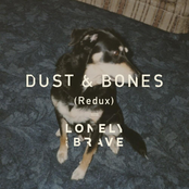 Dust & Bones (Redux)