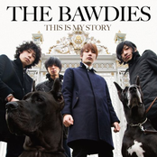 Forgive Me by The Bawdies