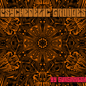 Psychedelic Grooves