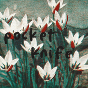 Pocket Knife - Single