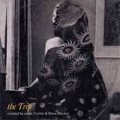 The Trip: Curated By Jarvis Cocker & Steve Mackey