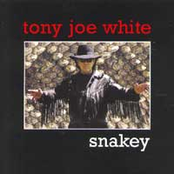 The Organic Shuffle by Tony Joe White