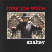 Hard Time With Sunday by Tony Joe White