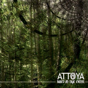 The System Of Multiple Language by Attoya