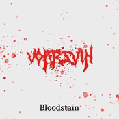 Bloodstain