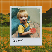 Grapefruit - Single