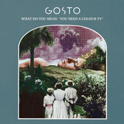 What Do You Mean 'You Need a Colour Tv'