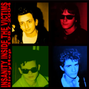 Insanity Inside The Victims (Birdy Hop 1987-2004)