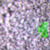 White Silence (Demo Songs)