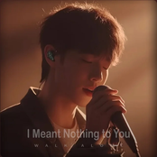 I Meant Nothing to You