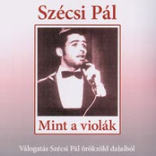 A Távollét by Szécsi Pál