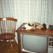 you don't have a reason