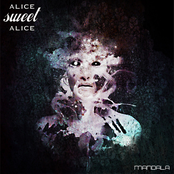 Broken Mirror by Alice Sweet Alice