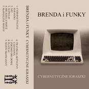 Cybernetyczne Igraszki