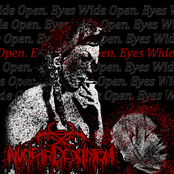 Eyes Wide Open