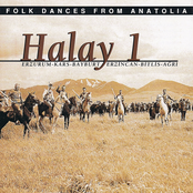 Halay, Vol. 1 (Erzurum - Kars - Bayburt - Erzincan - Bitlis - Ağrı)