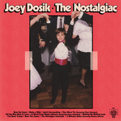 Joey Dosik: The Nostalgiac