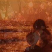 Think Of The Willows