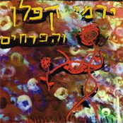 מדוע לא באת by ירמי קפלן